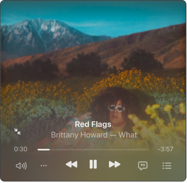 The Mini Player showing the album artwork.