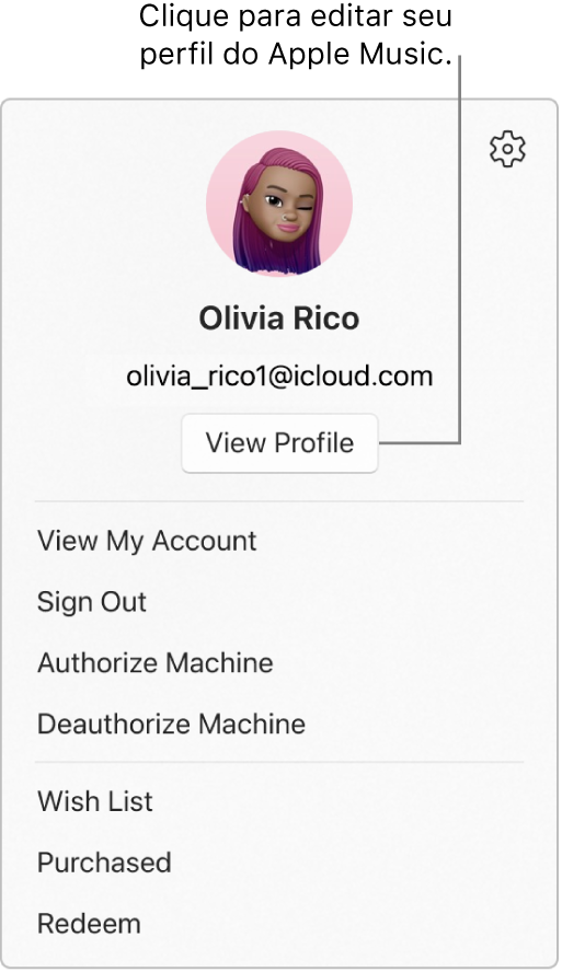 O menu perfil, que aparece quando você seleciona o seu nome na parte inferior da barra lateral. A imagem de usuário e a Conta Apple estão na parte superior. O botão Exibir Perfil está abaixo da Conta Apple. As opções do menu incluem: Exibir Minha Conta, Autorizar Máquina e Lista de Desejos.