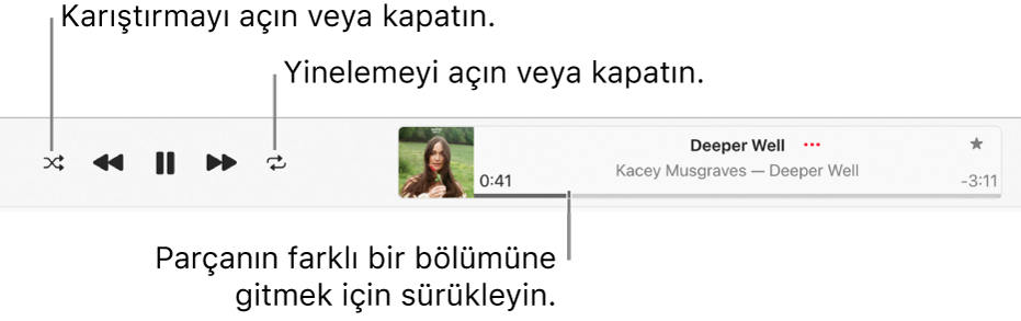 Bir parçanın çalındığını gösteren oynatma penceresi. Sol üst köşede Karıştır düğmesi, albüm resminin solunda ise Yinele düğmesi yer alır. İlerletme çubuğu parçanın adının altında, pencerenin sağ tarafındadır.