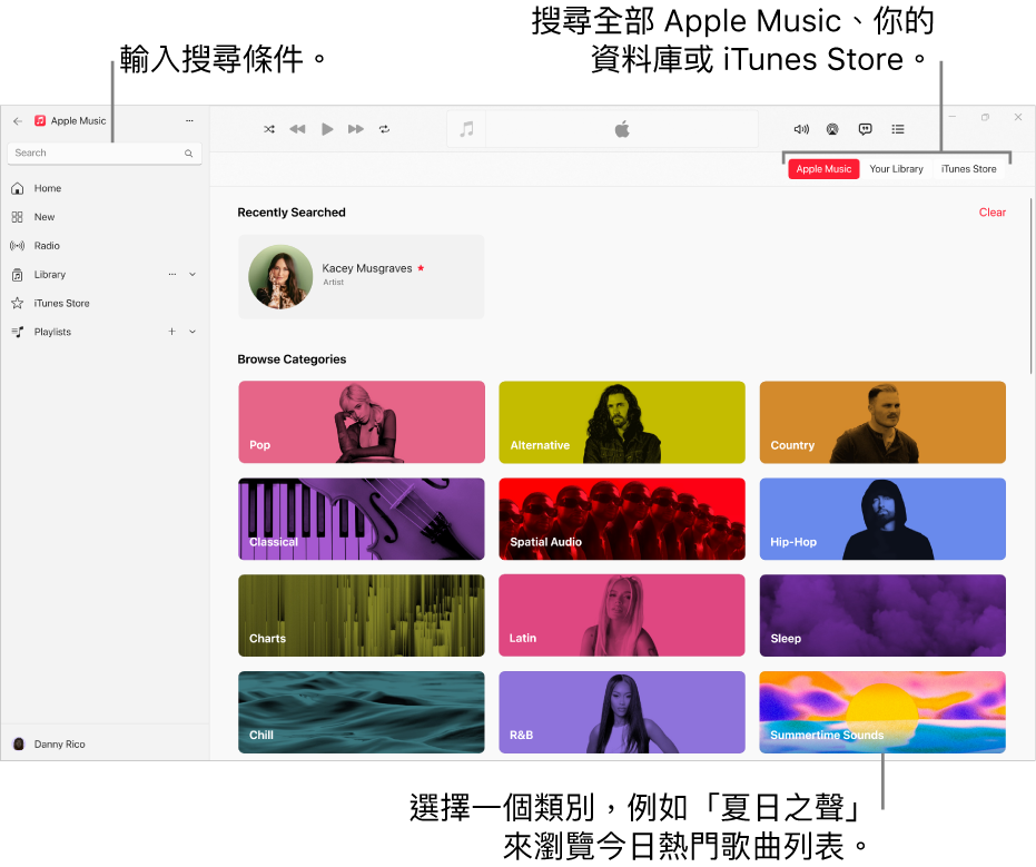 Apple Music 視窗的左上角顯示搜尋欄位，類別列表位於視窗的中間，而 Apple Music、「你的資料庫」和 iTunes Store 按鈕則位於右上角。