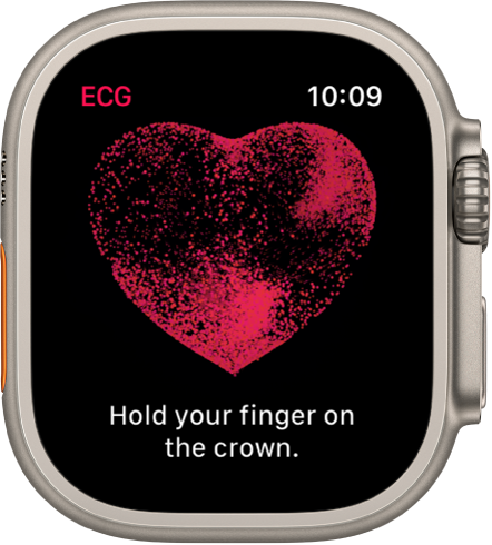 The ECG app showing an image of a heart with the words “Hold your finger on the crown.”