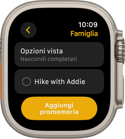 L’app Promemoria con un promemoria. Nella parte superiore dello schermo è presente il pulsante “Opzioni di visualizzazione”, sotto, c’è un promemoria. In basso, è visibile il pulsante di aggiunta dei promemoria.