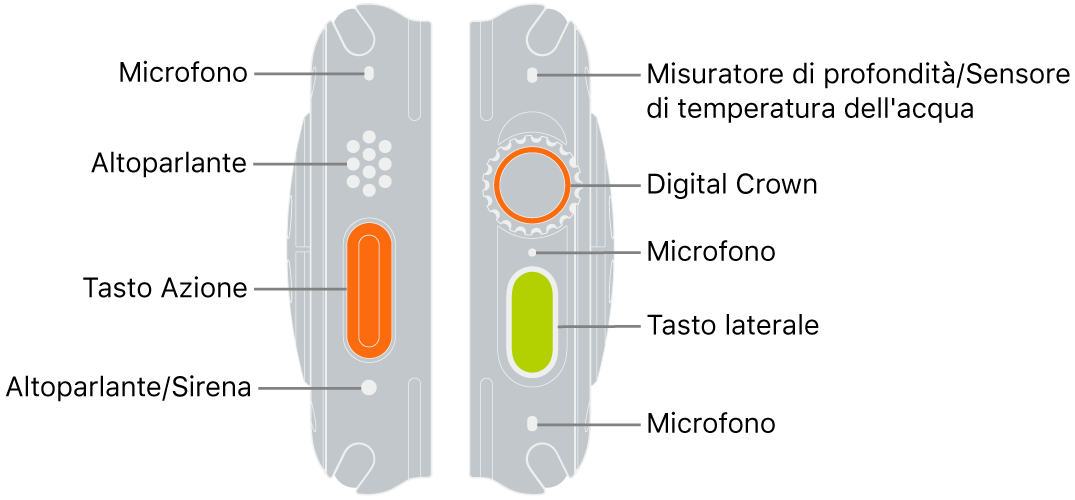 I due lati di Apple Watch Ultra. L’immagine a sinistra mostra la parte posteriore di Apple Watch Ultra sulla sinistra. Dall’alto in basso, le didascalie evidenziano il microfono, gli altoparlanti, il tasto Azione e una porta dell’altoparlante dalla quale viene trasmesso il suono della sirena. L’immagine a destra mostra la parte posteriore di Apple Watch Ultra sulla destra. Dall’alto in basso, le didascalie evidenziano il misuratore di profondità/sensore della temperatura dell’acqua, la Digital Crown, il microfono, il tasto laterale e un secondo microfono.