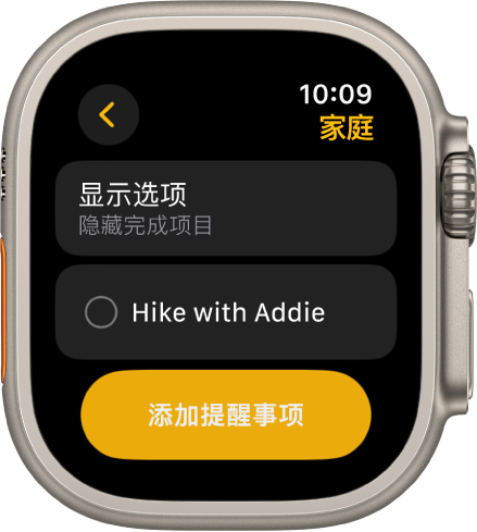 “提醒事项” App 显示一个提醒事项。“显示选项”按钮位于顶部，提醒事项位于下方。底部是“添加提醒事项”按钮。