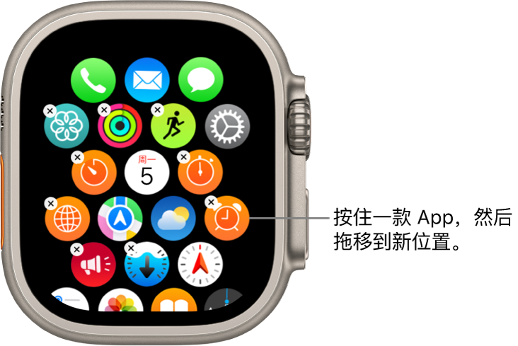 网格视图中的 Apple Watch 主屏幕。