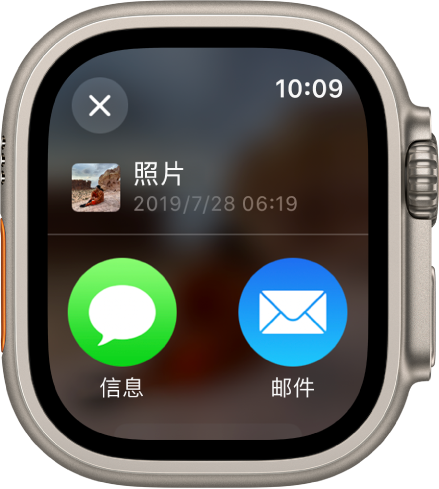 “照片” App 中的“共享”屏幕。共享照片位于屏幕顶部，下方是“信息”和“邮件”按钮。