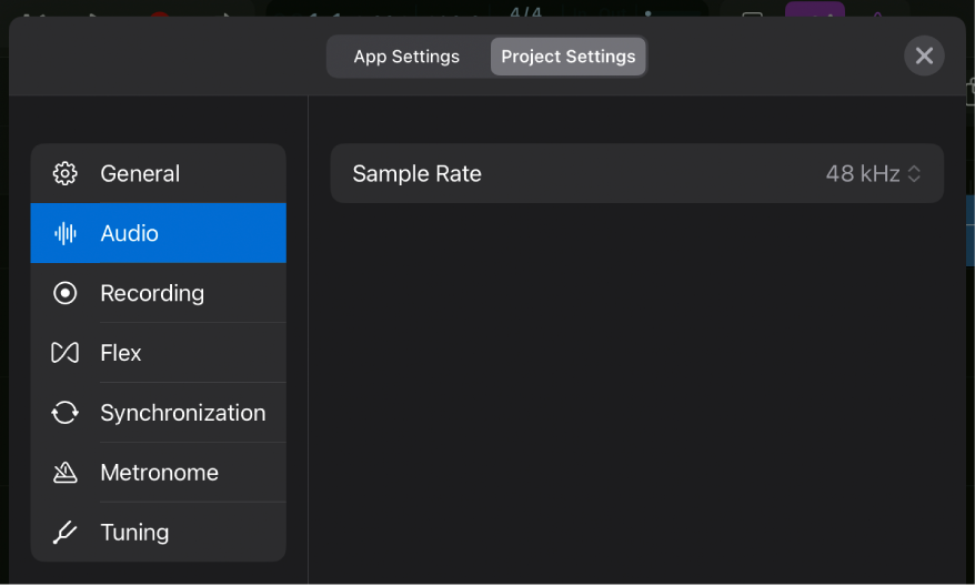 Audio project settings.