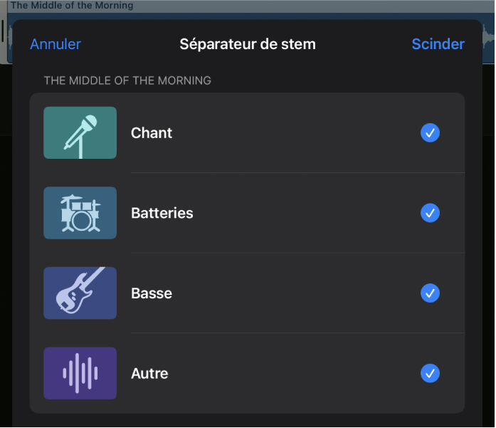 Figure. Zone de dialogue « Séparateur de stem » montrant les stems sélectionnés.