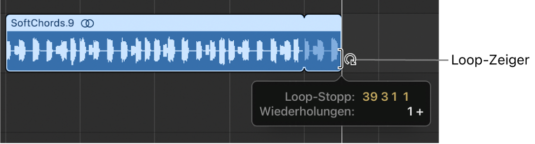 Abbildung. Loopen einer Region im Bereich „Spuren“. Der Info-Text zeigt die Länge der Region und die Anzahl der Wiederholungen an.