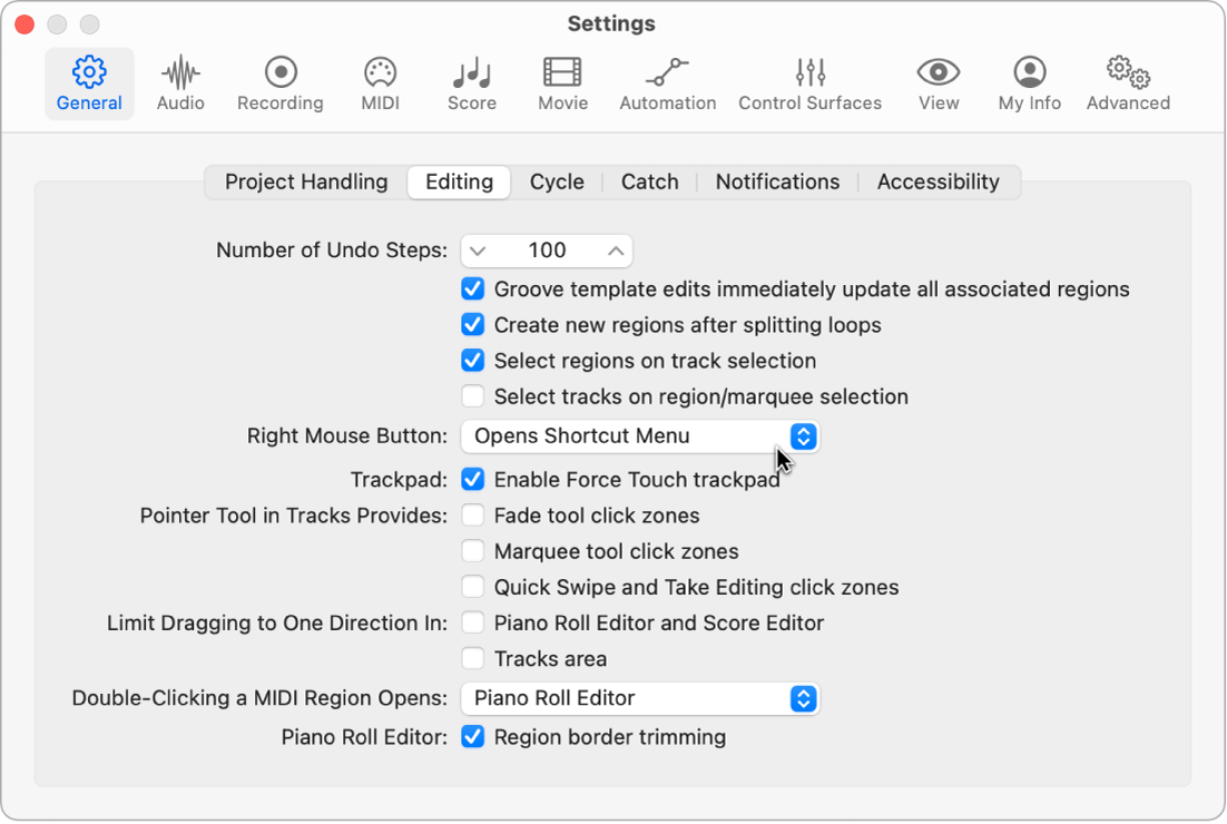 Figure. Pointer Tool checkboxes in the Editing pane in the General settings.