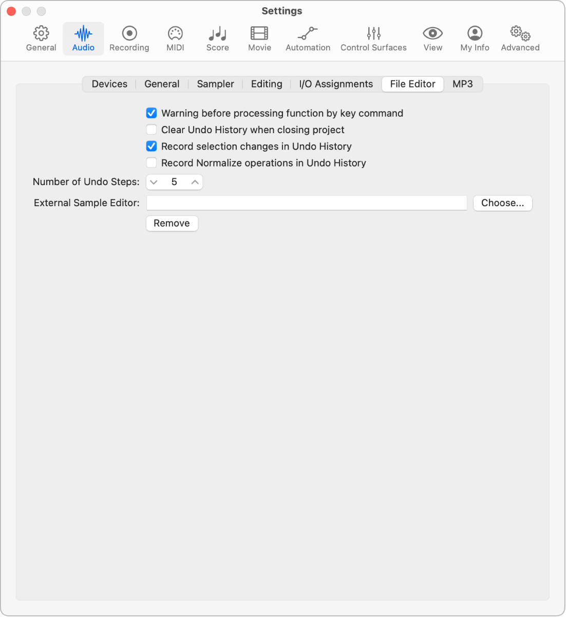 Figure. Audio File Editor settings.