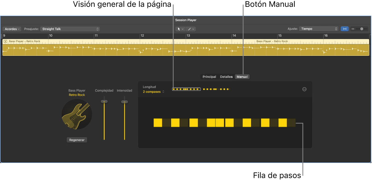 Ilustración. Visualización manual del editor de Session Player.