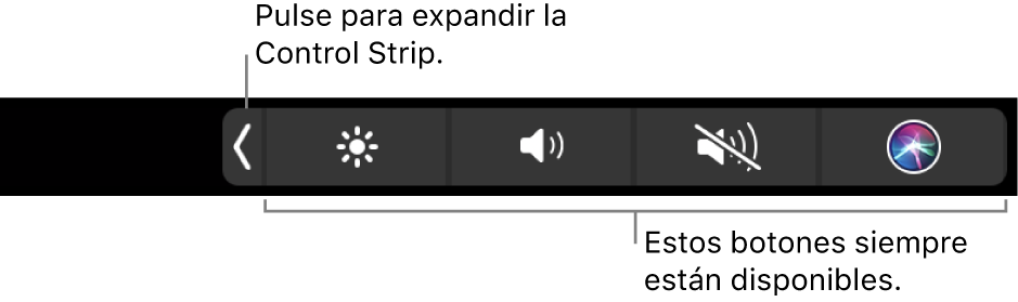 Ilustración. Control Strip de la Touch Bar.