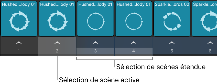 Figure. Plusieurs scènes sélectionnées.