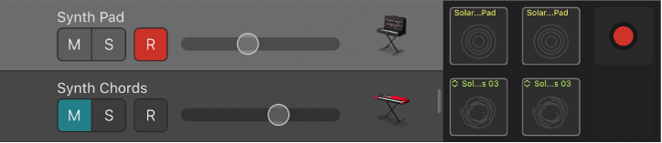 Figure. Track header, showing Mute, Solo, Record and Volume controls and track icon.