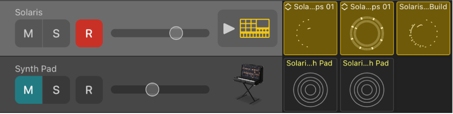 Figure. Track header, showing Mute, Solo, Record and Volume controls, and track icon.