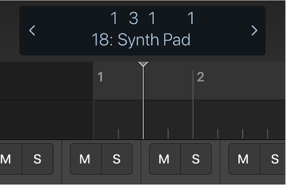 Figure. Ruler and playhead underneath the control bar display.