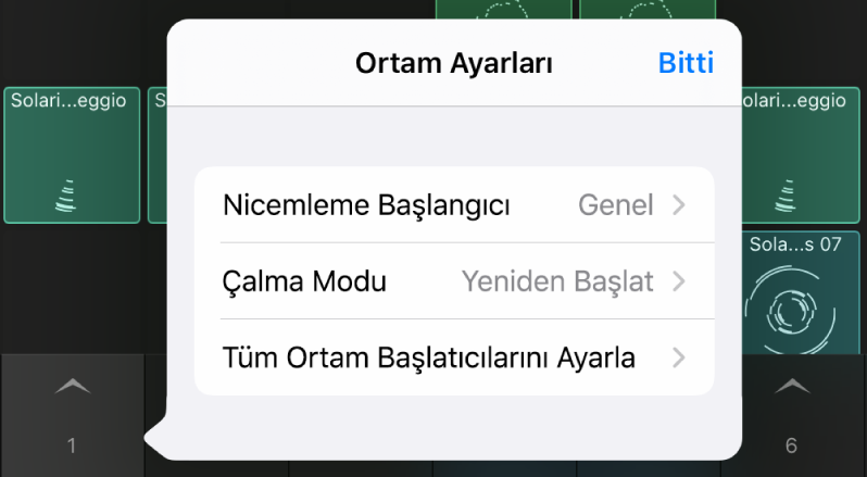 Ortam ayarları menüsü.