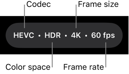 Camera settings at the top of the screen, including the codec, color space, frame size, and frame rate.