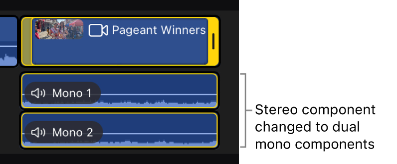 Expanded clip in the timeline after being converted to dual mono components.