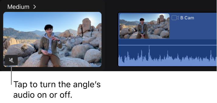 Un icono de audio en la esquina inferior izquierda de una miniatura de ángulo en el editor de ángulo.