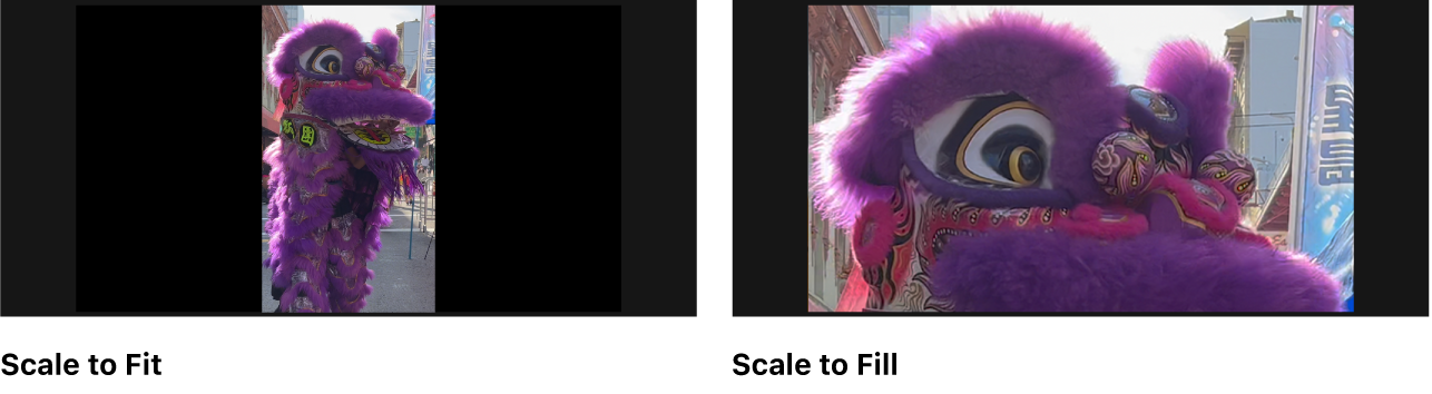 Una comparación en paralelo de un vídeo en vertical con “Redimensionar automáticamente” definido como Ajustar y como “Escalar para rellenar”. La opción Ajustar muestra el fotograma entero del vídeo filmado en vertical, con un espacio vacío negro en ambos lados de la imagen. “Escalar para rellenar” amplía el área rectangular del vídeo para rellenar la proporción horizontal del proyecto.