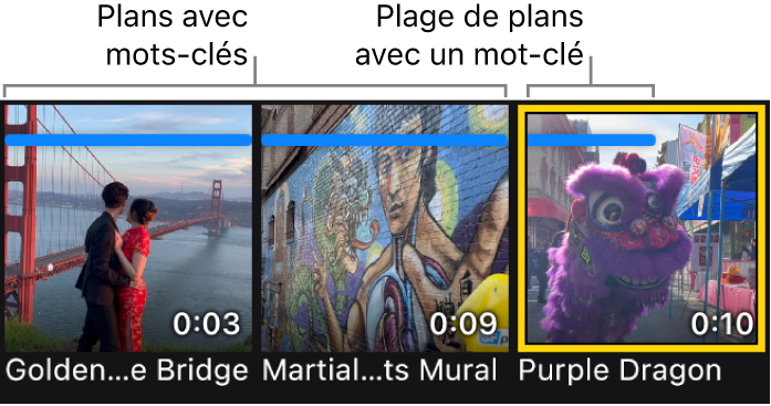 Vignettes dans le navigateur multimédia affichant des plans surmontés d’un trait horizontal bleu qui indique que ces plans sont associés à des mots-clés.