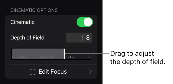피사계 심도 슬라이더를 보여주는 인스펙터의 시네마틱 옵션 섹션.
