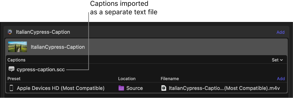 Batch area showing a captions file added as a separate text file