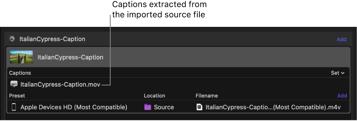 Área de lote con un archivo de subtítulos extraído del archivo fuente de vídeo