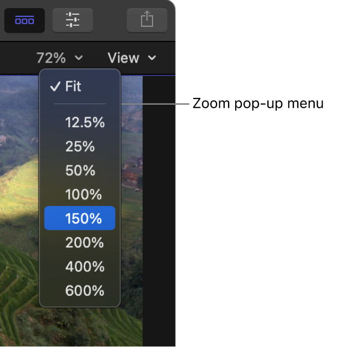 Das Einblendmenü „Zoom“ über dem Viewer