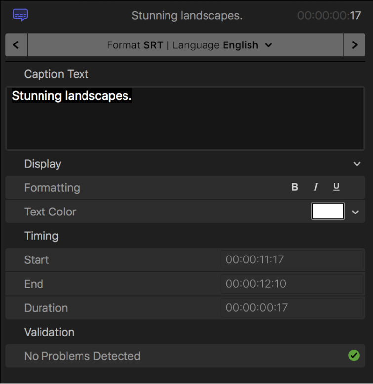 The Caption inspector showing caption text formatting controls for the SRT format