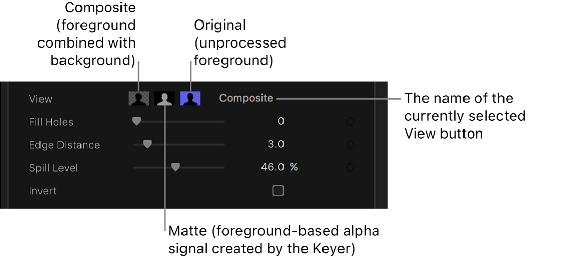 The View controls in the Video inspector