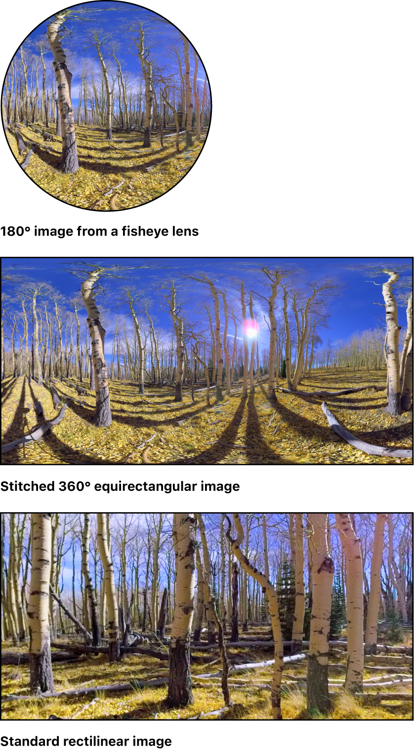 A single fisheye image, a stitched 360° image, and a standard rectilinear image