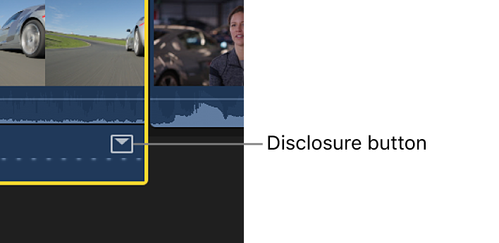 The disclosure button for an effect in the Audio Animation editor