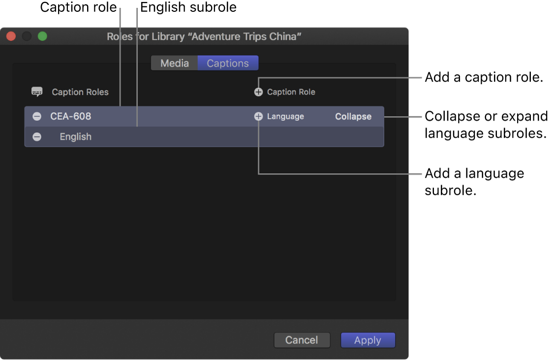 Panel Subtítulos del editor de funciones con una función de subtítulos CEA-608 y una subfunción de inglés