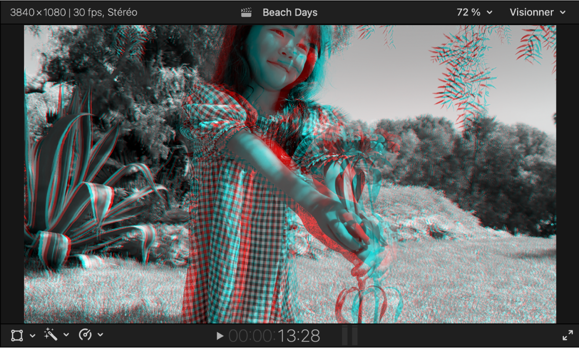 Le visualiseur affichant un plan de vidéo stéréo dans la présentation « Anaglyphe Monochrome »