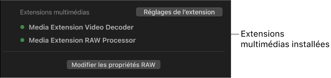 La section « Extensions multimédias » de lʼinspecteur d’informations, avec des points verts en regard des extensions multimédias qui sont utilisées pour décoder le plan sélectionné.