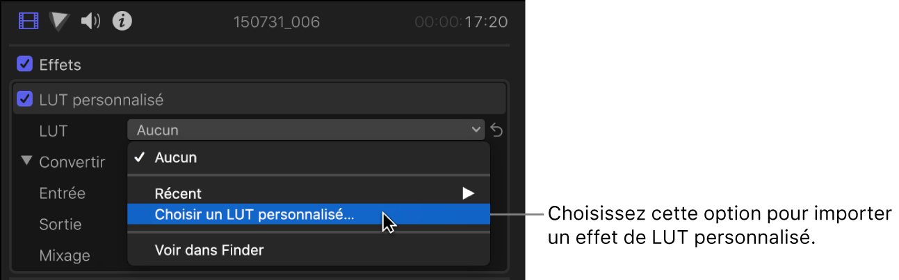 Option « Choisir une LUT personnalisée » choisie dans le menu local LUT dans la section LUT personnalisée de l’inspecteur vidéo