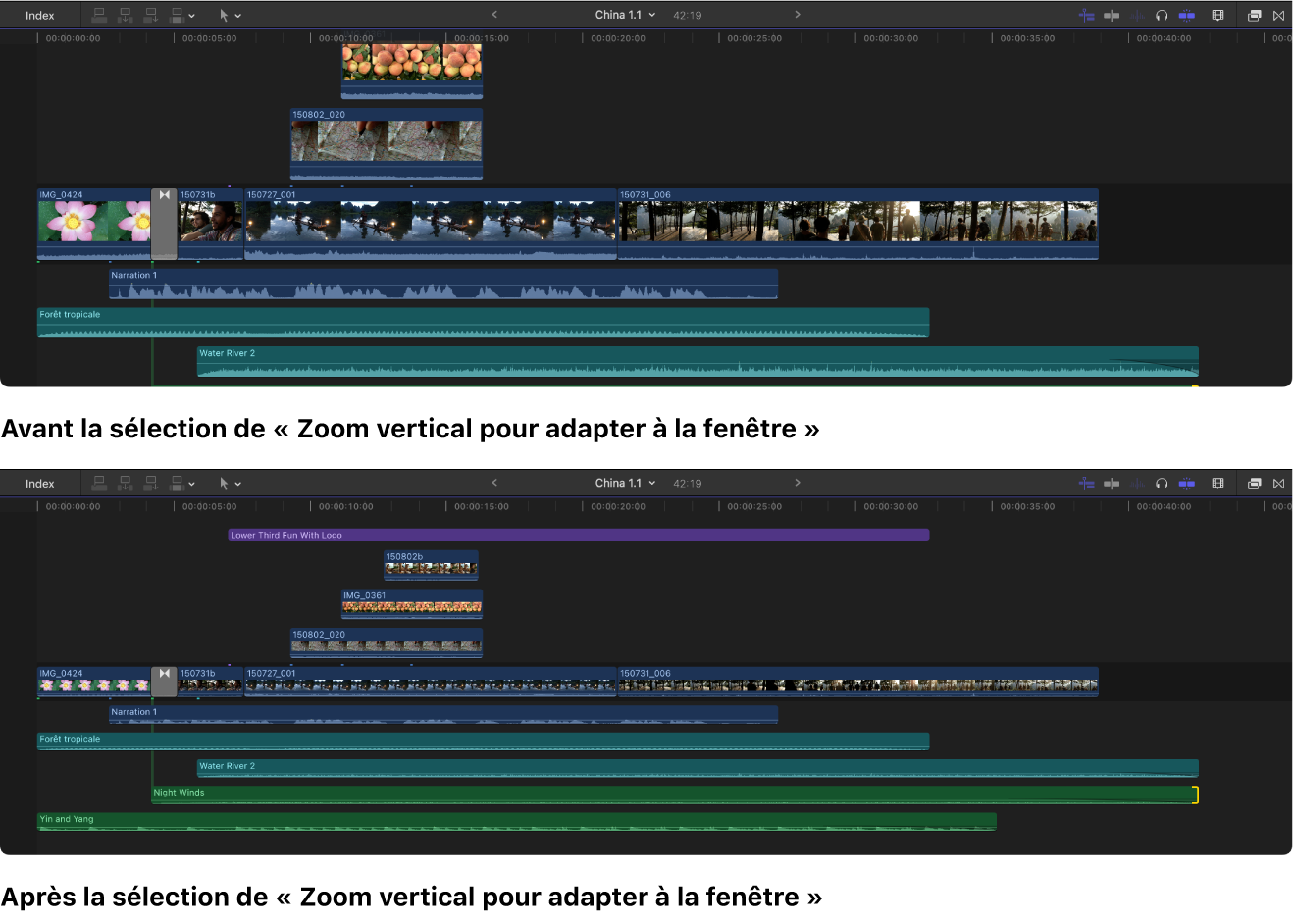 Timeline affichée avant et après la sélection de l’option « Zoom vertical pour adapter à la fenêtre »