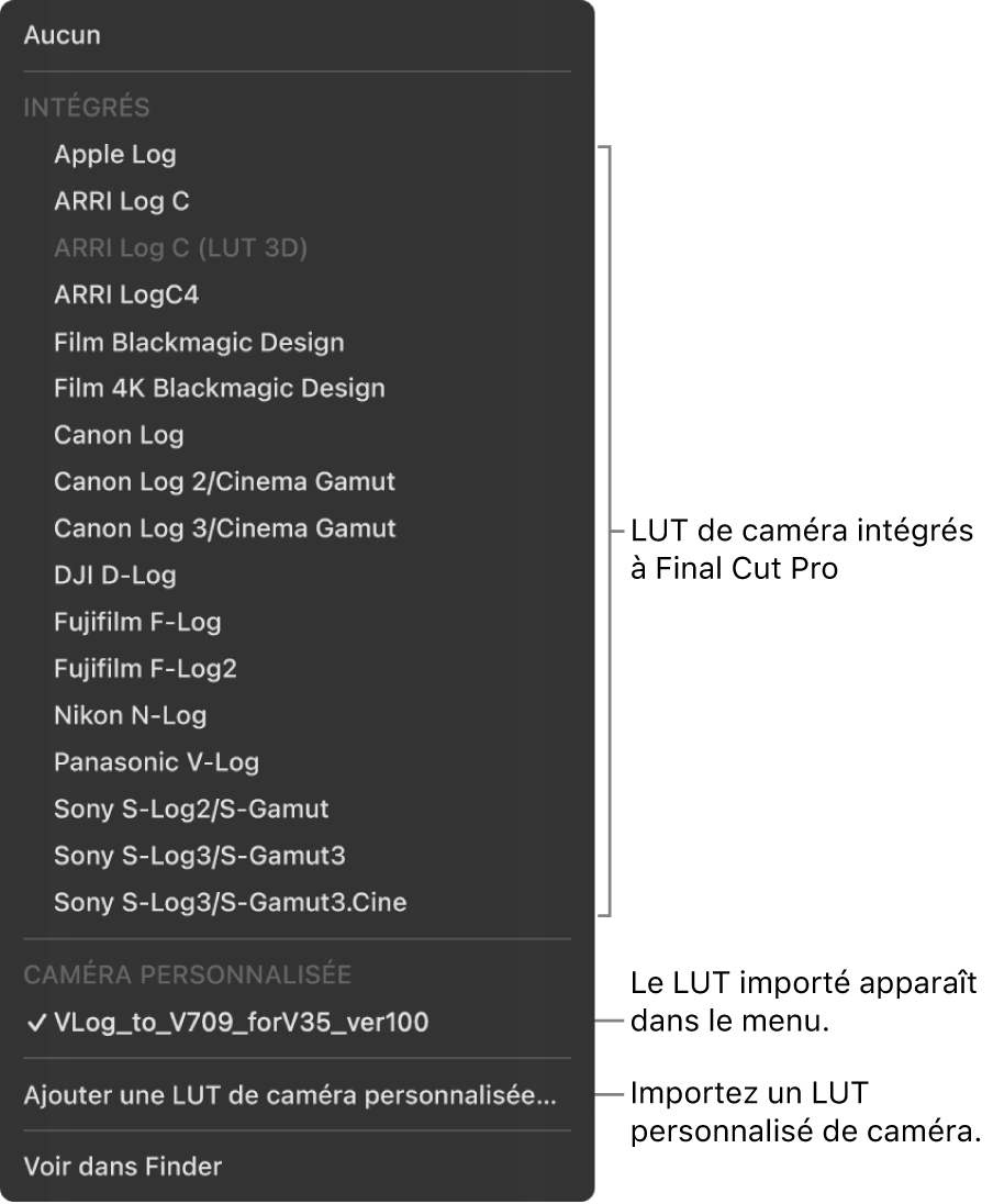 Menu local LUT de caméra