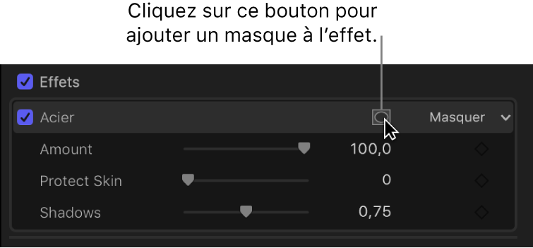 Section Effets de l’inspecteur vidéo avec le bouton Appliquer des masques d’effet