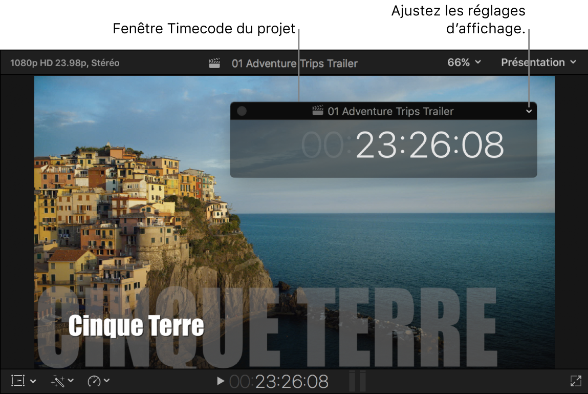 Fenêtre du timecode du projet placée sur le visualiseur, avec le timecode du projet au niveau de la tête de lecture