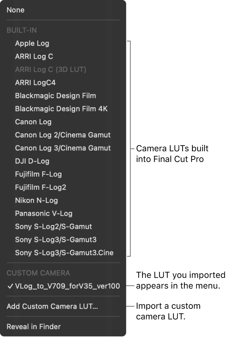 카메라 LUT 팝업 메뉴