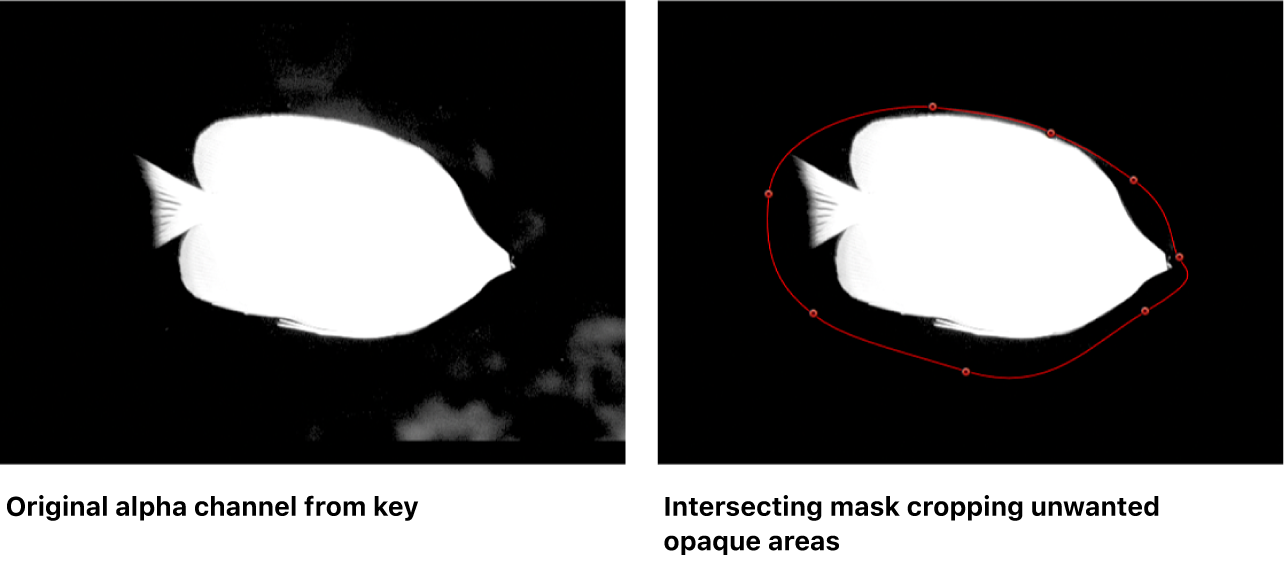 Canvas mit zwei sich überschneidenden Masken