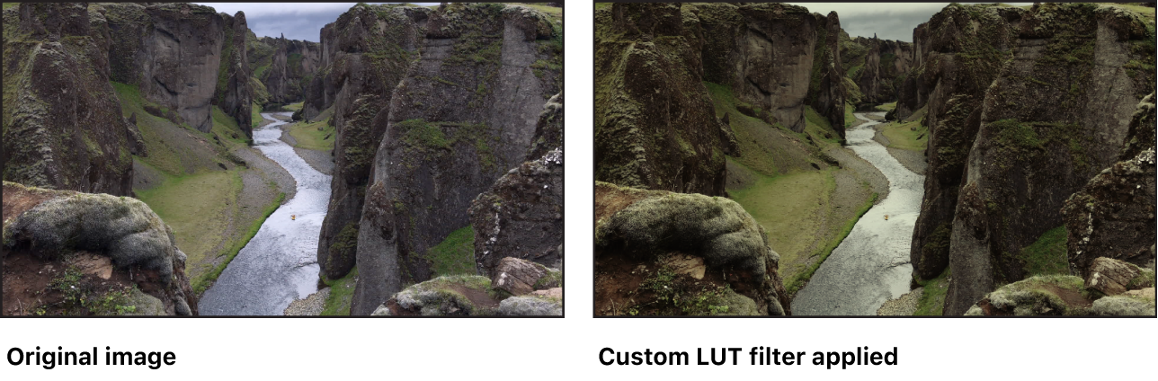 Canvas showing effect of an applied LUT using the Custom LUT filter