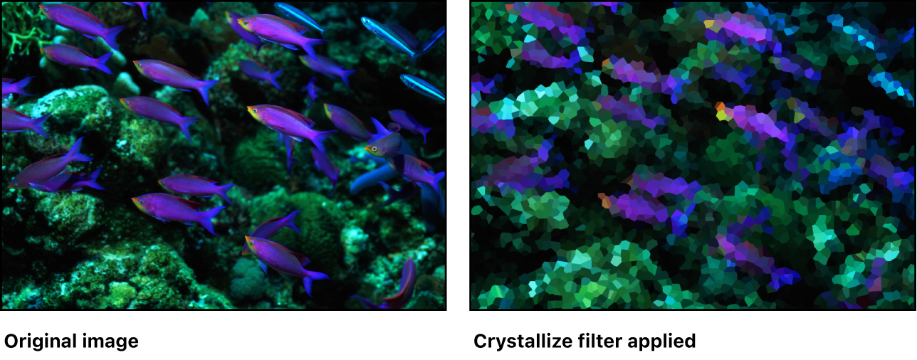 Canvas showing effect of Crystallize filter