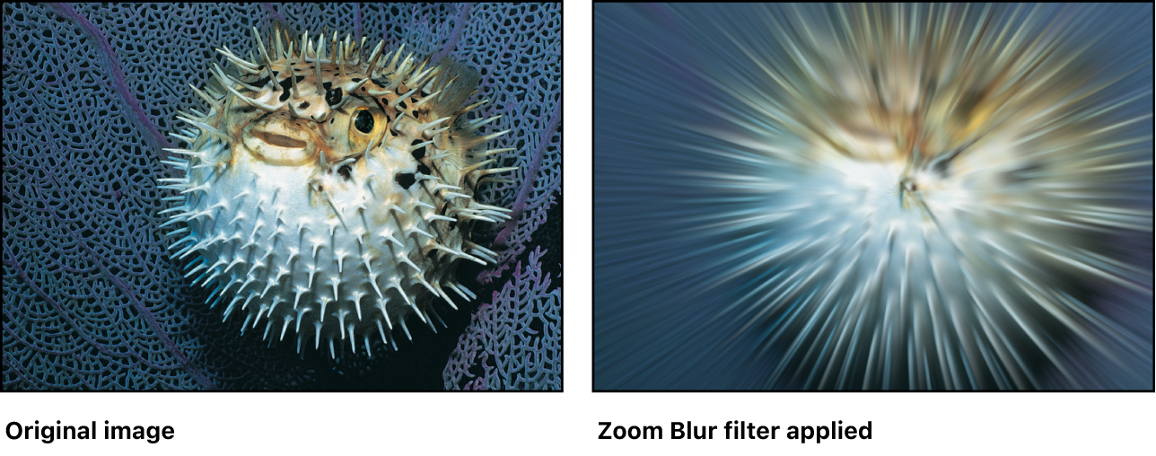 Canvas showing effect of Zoom Blur filter