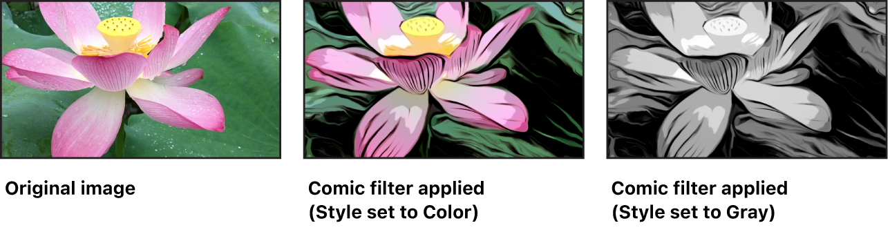 Canvas showing effect of Comic filter