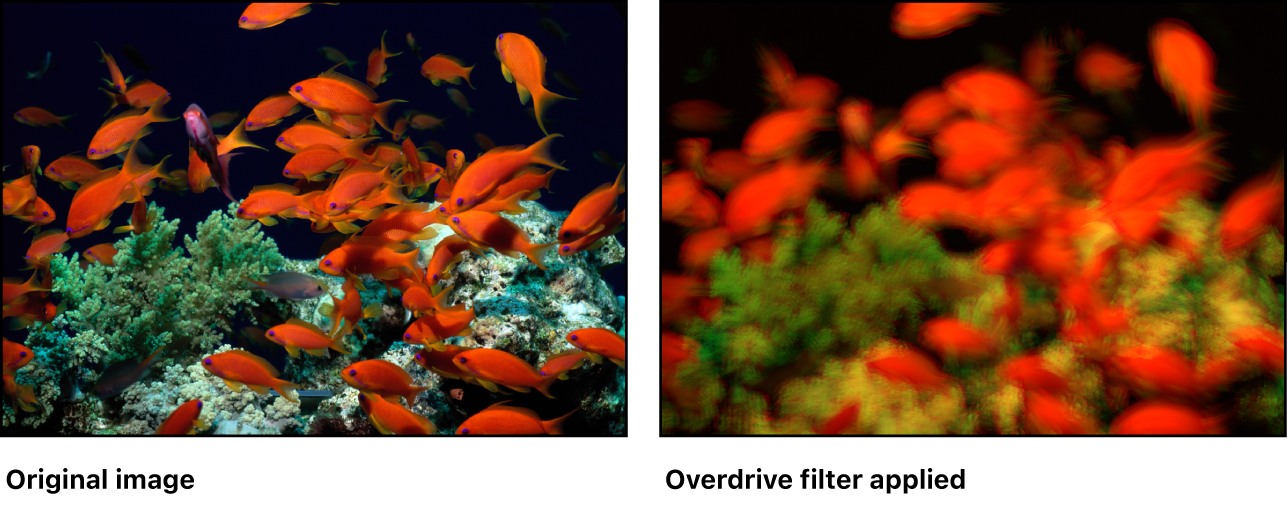 Canvas showing effect of Overdrive filter